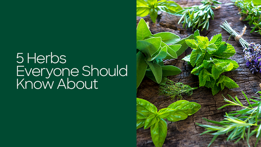 5 Herbs Everyone Should Know About