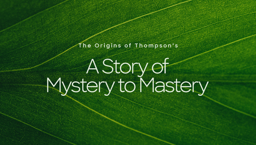 The Origins of Thompson’s; A Story of Mystery to Mastery